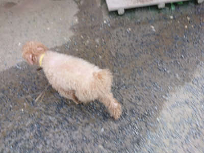 f:id:roukenhome-ann:20190803155057j:plain