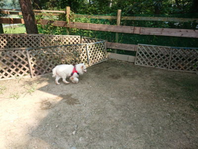 f:id:roukenhome-ann:20190803155140j:plain