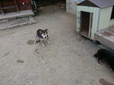 f:id:roukenhome-ann:20190803155311j:plain
