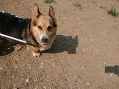 f:id:roukenhome-ann:20190803155517j:plain