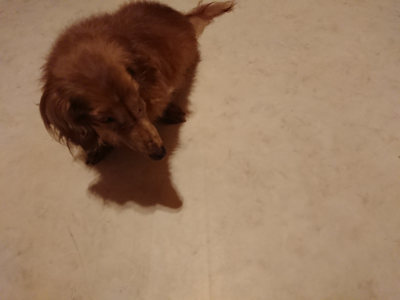 f:id:roukenhome-ann:20190803155624j:plain