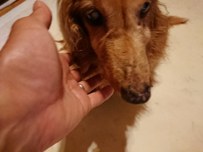 f:id:roukenhome-ann:20190803191022j:plain
