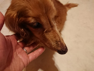 f:id:roukenhome-ann:20190803191109j:plain