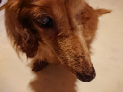 f:id:roukenhome-ann:20190803191112j:plain