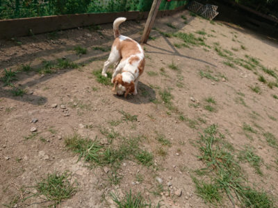 f:id:roukenhome-ann:20190803192921j:plain f:id:roukenhome-ann:20190803192921j:plain