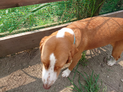 f:id:roukenhome-ann:20190803192933j:plain f:id:roukenhome-ann:20190803192933j:plain