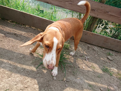 f:id:roukenhome-ann:20190803192938j:plain f:id:roukenhome-ann:20190803192938j:plain