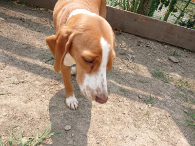 f:id:roukenhome-ann:20190803192946j:plain f:id:roukenhome-ann:20190803192946j:plain