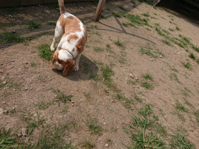 f:id:roukenhome-ann:20190803193027j:plain f:id:roukenhome-ann:20190803193027j:plain