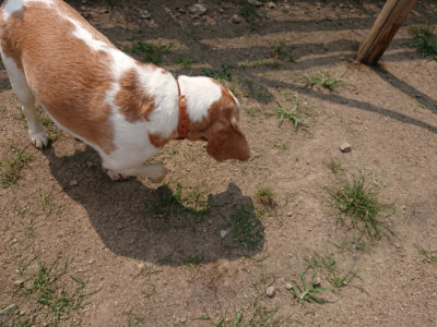 f:id:roukenhome-ann:20190803193031j:plain f:id:roukenhome-ann:20190803193031j:plain