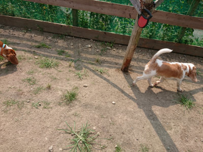 f:id:roukenhome-ann:20190803193035j:plain f:id:roukenhome-ann:20190803193035j:plain
