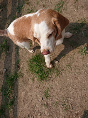 f:id:roukenhome-ann:20190803193037j:plain f:id:roukenhome-ann:20190803193037j:plain