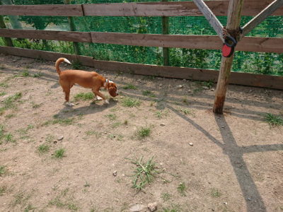 f:id:roukenhome-ann:20190803193042j:plain f:id:roukenhome-ann:20190803193042j:plain