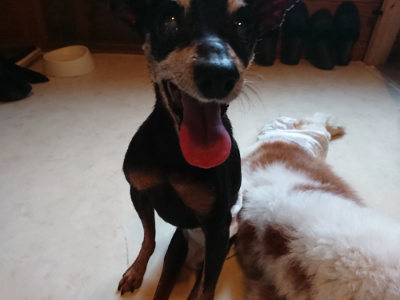 f:id:roukenhome-ann:20190803195613j:plain