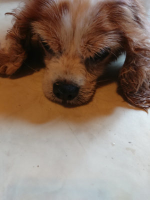 f:id:roukenhome-ann:20190803195619j:plain