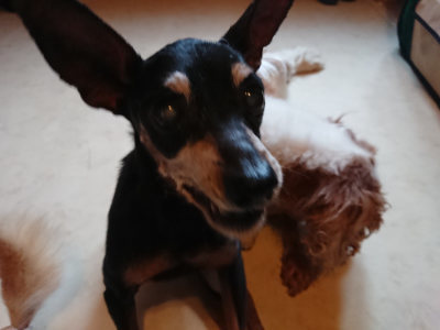 f:id:roukenhome-ann:20190803195632j:plain
