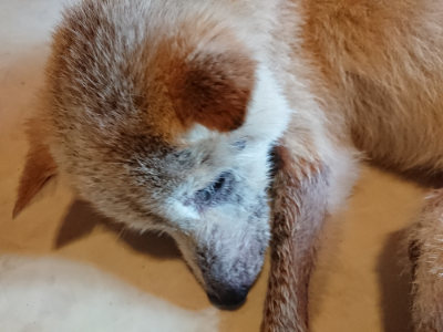 f:id:roukenhome-ann:20190803195634j:plain