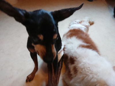 f:id:roukenhome-ann:20190803195835j:plain