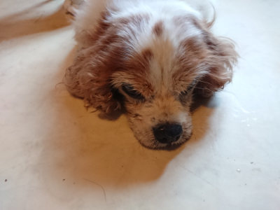 f:id:roukenhome-ann:20190803195939j:plain