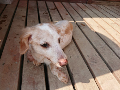 f:id:roukenhome-ann:20190803200442j:plain