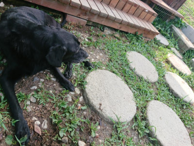 f:id:roukenhome-ann:20190804122327j:plain