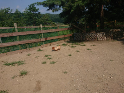 f:id:roukenhome-ann:20190804143807j:plain