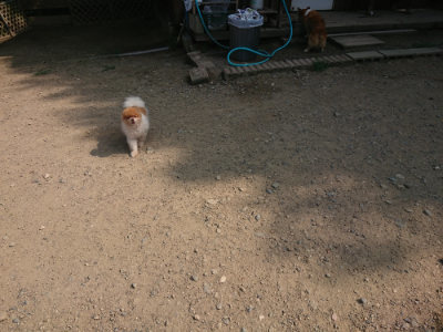 f:id:roukenhome-ann:20190804143815j:plain