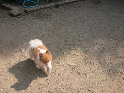 f:id:roukenhome-ann:20190804143821j:plain