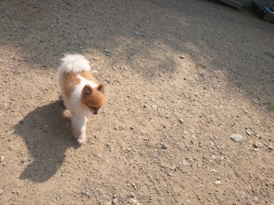 f:id:roukenhome-ann:20190804143827j:plain