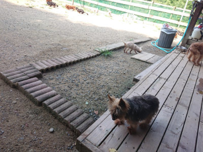 f:id:roukenhome-ann:20190804143841j:plain