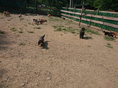 f:id:roukenhome-ann:20190804143852j:plain