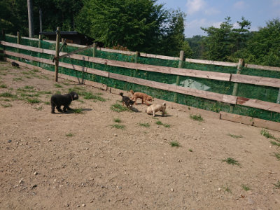 f:id:roukenhome-ann:20190804143901j:plain