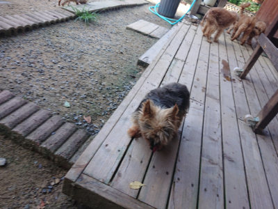 f:id:roukenhome-ann:20190804143907j:plain