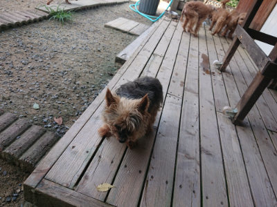 f:id:roukenhome-ann:20190804143914j:plain