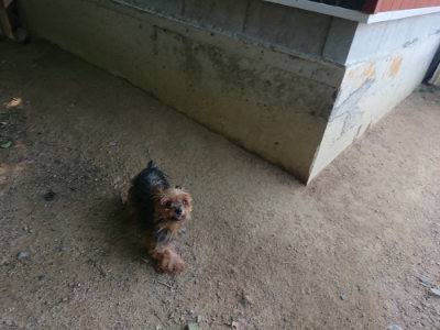 f:id:roukenhome-ann:20190804143926j:plain