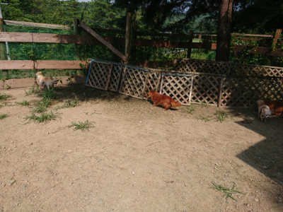 f:id:roukenhome-ann:20190804143938j:plain