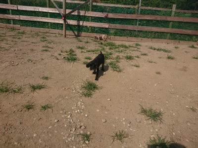 f:id:roukenhome-ann:20190804143943j:plain
