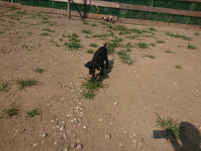 f:id:roukenhome-ann:20190804143948j:plain