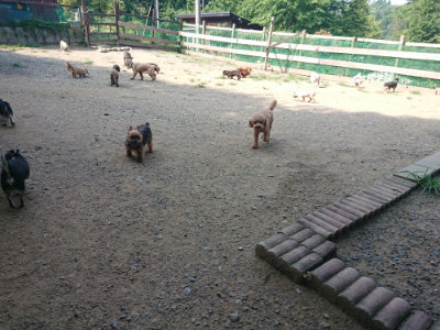 f:id:roukenhome-ann:20190804144001j:plain