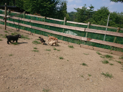 f:id:roukenhome-ann:20190804144017j:plain