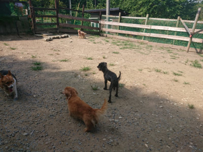 f:id:roukenhome-ann:20190804144025j:plain