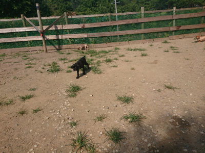 f:id:roukenhome-ann:20190804144035j:plain