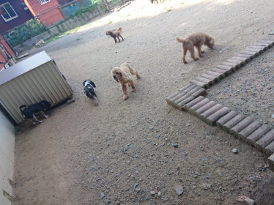 f:id:roukenhome-ann:20190804144039j:plain