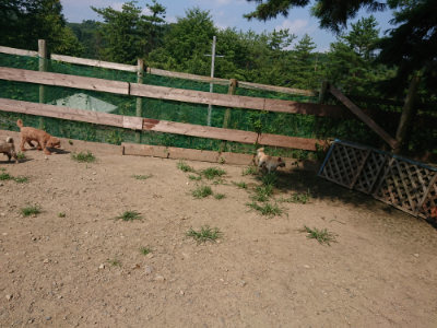 f:id:roukenhome-ann:20190804144046j:plain