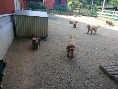 f:id:roukenhome-ann:20190804144051j:plain