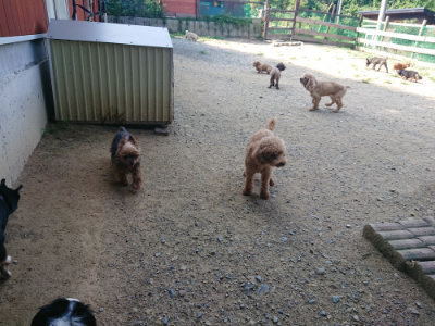 f:id:roukenhome-ann:20190804144055j:plain