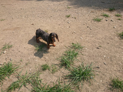 f:id:roukenhome-ann:20190804144102j:plain