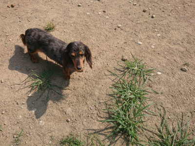 f:id:roukenhome-ann:20190804144112j:plain