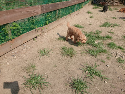 f:id:roukenhome-ann:20190804144138j:plain