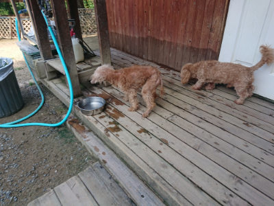 f:id:roukenhome-ann:20190804144208j:plain